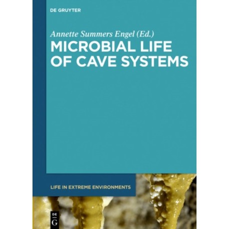 Microbial Life of Cave Systems