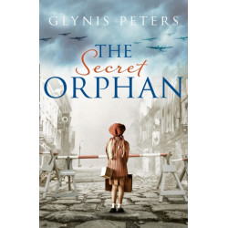 The Secret Orphan