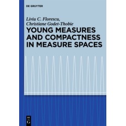 Young Measures and Compactness in Measure Spaces