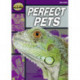 Rapid Reading: Perfect Pets (Starter Level 2B)