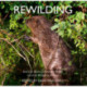 Rewilding: Real Life Stories of Returning British and Irish Wildlife to Balance