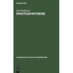Photosynthese