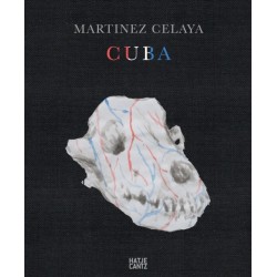 Enrique Martinez Celaya: Cuba
