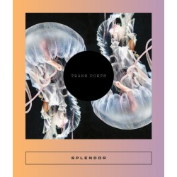 Splendor: Trans Poets