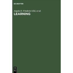 Learning: Rule Extraction and Representation