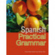 Pasos Spanish Practical Grammar: 4th Edition