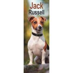 Jack Russell Slim