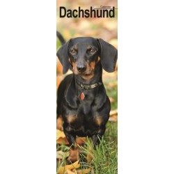 Dachshunds S / AVONSI