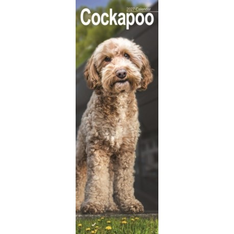 Cockapoo Slim