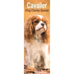 Cavalier King Charles Spaniel Slim
