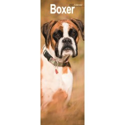 Boxer Slim
