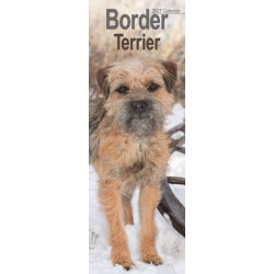 Border Terrier Slim