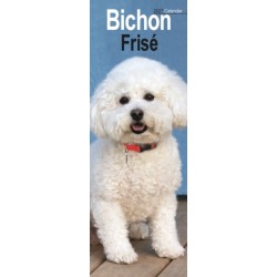 Bichon Frise Slim