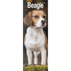 Beagle Slim
