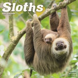 Sloths Wall