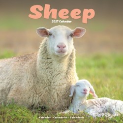 Sheep Wall
