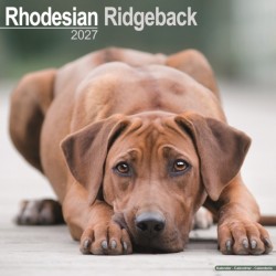 Rhodesian Ridgeback Wall