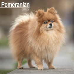 Pomeranian W