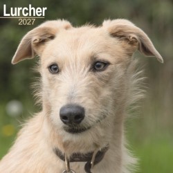 Lurcher Wall