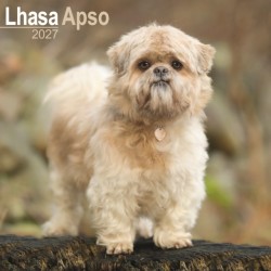 Lhasa Apso Wall