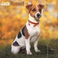 Jack Russell Wall
