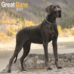 Great Dane Wall