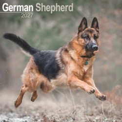 German Shepherds Wall