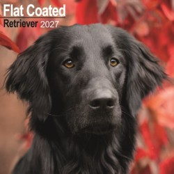 Flat Coated Retriever Wall