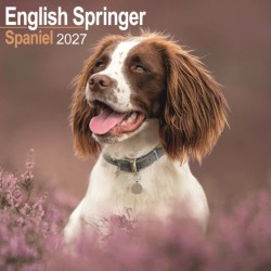 English Springer Spaniel Wall