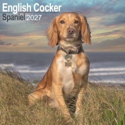 English Cocker Spaniel Wall