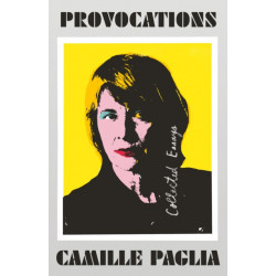 Provocations: Collected Essays on Art, Feminism, Politics, Sex, and Education