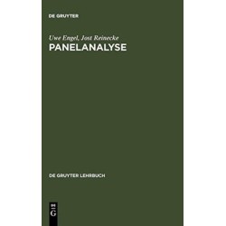 Panelanalyse