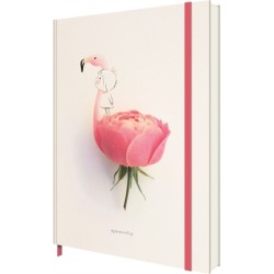 TBC Jesuso Ortiz Notebook
