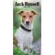 Jack Russell Terriers Slim Diary