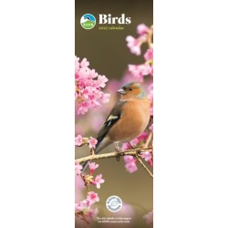 RSPB Birds (PFP) Slim