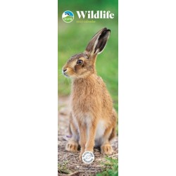 RSPB Wildlife (PFP) Slim