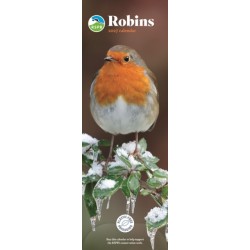 RSPB Robins (PFP) Slim