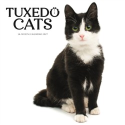 Tuxedo Cats SS ML Wall