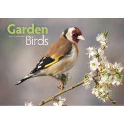 Garden Birds (PFP) A4