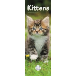 Kittens (PFP)Slim