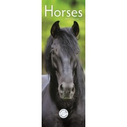Horses (PFP)Slim
