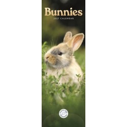 Bunnies (PFP) Slim