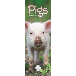 Pigs (PFP)Slim