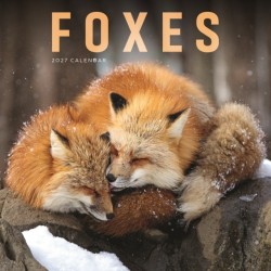 Foxes (PFP) W