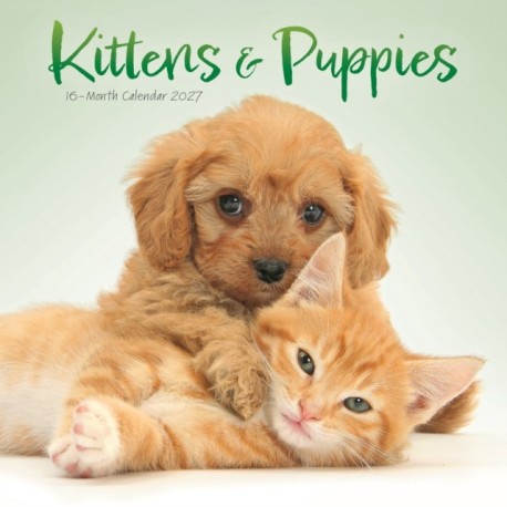 Kittens & Puppies Mini
