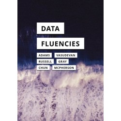 Data Fluencies