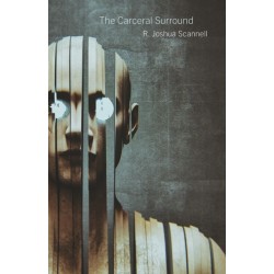 The Carceral Surround