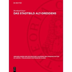 Das Stadtbild Alt-Dresdens