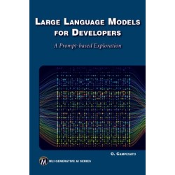 Large Language Models for Developers: A Prompt-based Exploration of LLMs