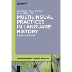 Multilingual Practices in Language History: English and Beyond